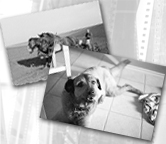 black-and-white-prints.jpg