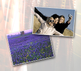 color-prints-icon.jpg