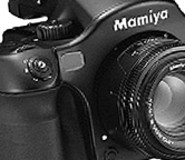 med-format.jpg