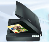scan.jpg